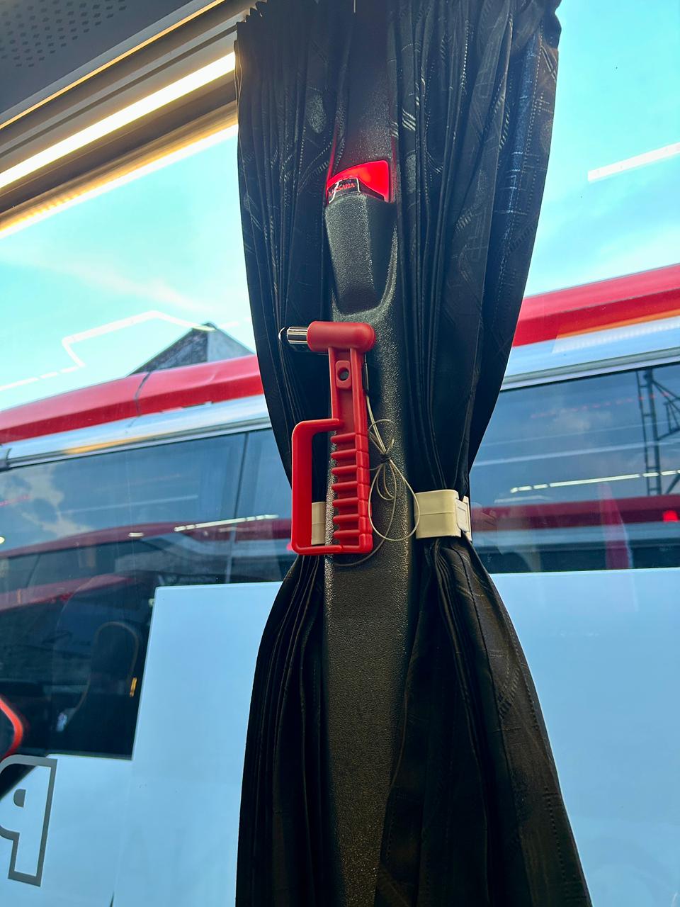 bus